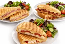 PANINIS